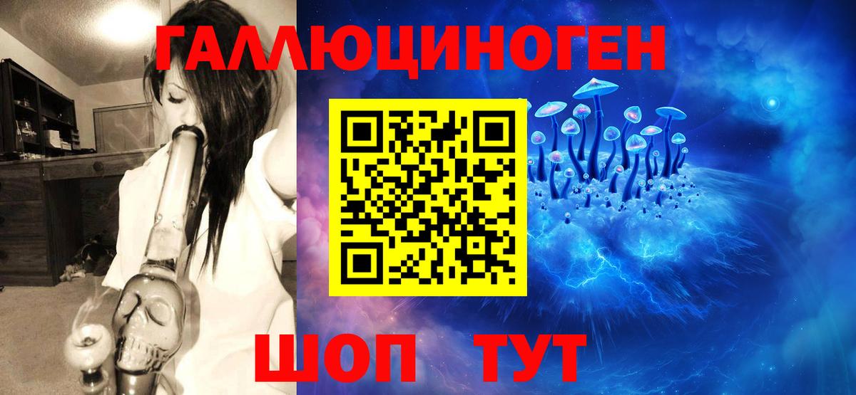 Псилоцибиновые грибы MAGIC MUSHROOMS  Вход с VPN  хочу наркоту  Кострома 